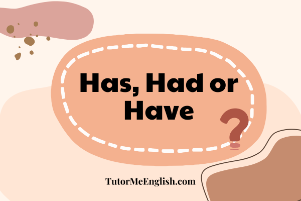 English Grammar Lesson: Has/had/have